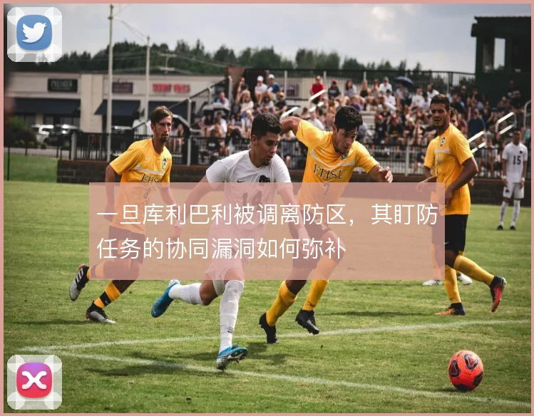 一旦库利巴利被调离防区，其盯防任务的协同漏洞如何弥补